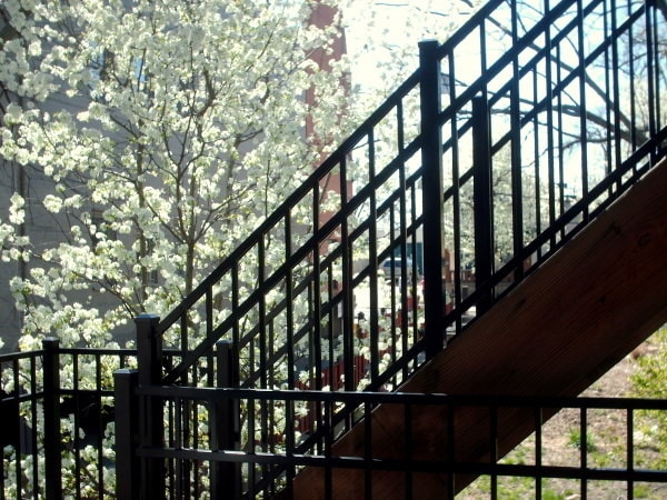 2 Story Deck - 1139 Belvedere St
