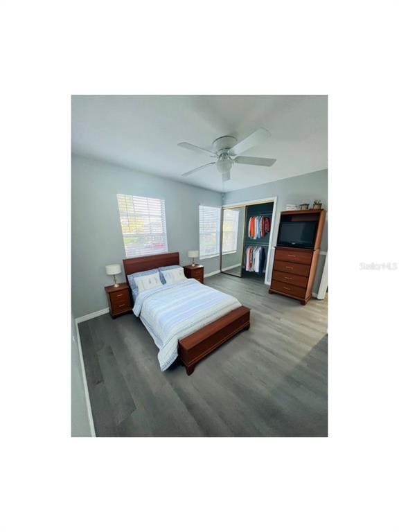 Building Photo - 2121 Whitewood Ct