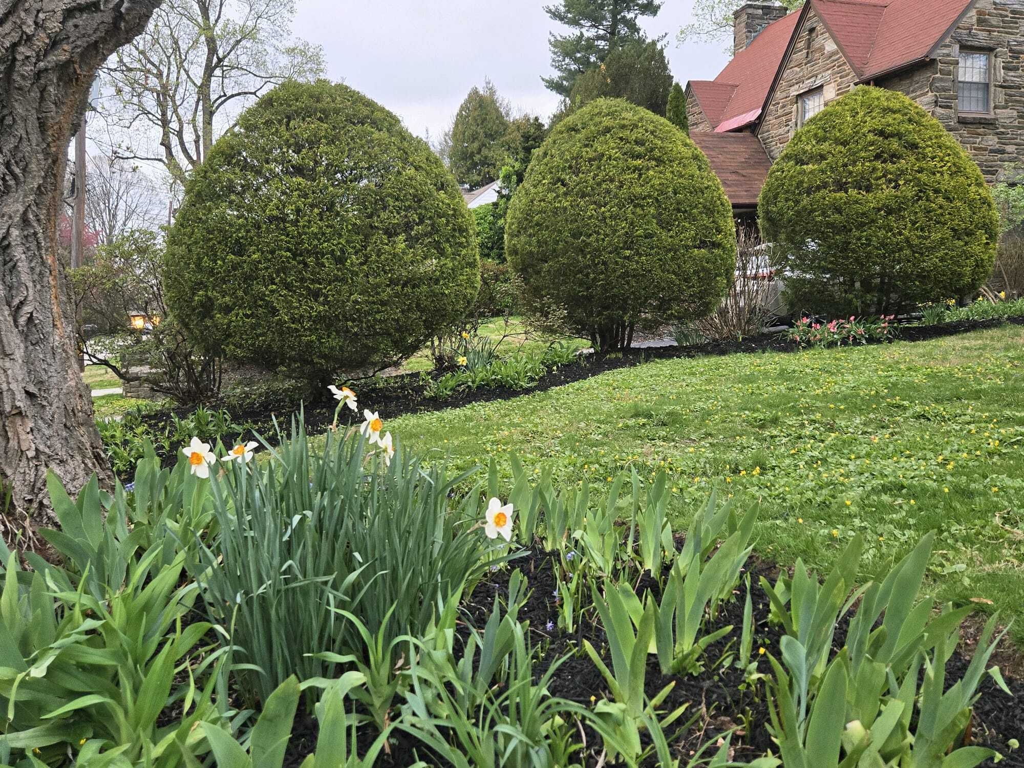 Building Photo - 611 Harvard Rd