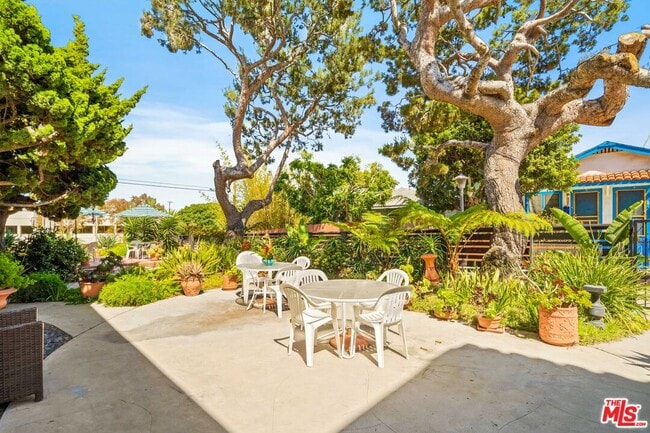 Building Photo - 119 Paloma Ave