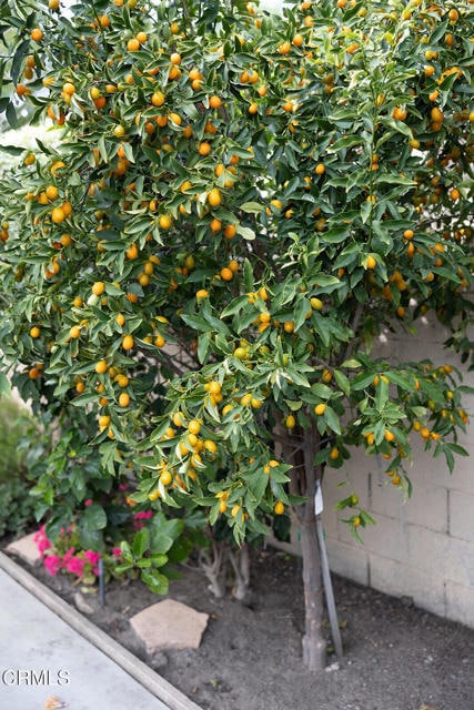 Building Photo - 2506 Weston Pl