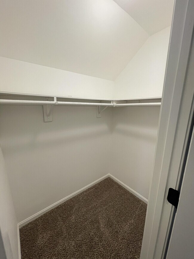 Building Photo - 1331 Middleneck Dr