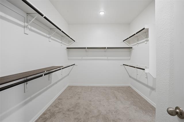 Building Photo - 1216 Rosebay Dr