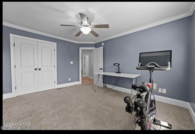 Building Photo - 1625 Brook Hollow Dr