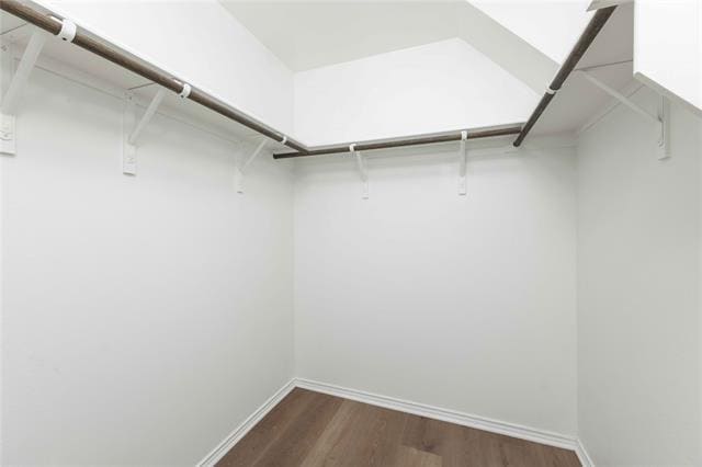 Building Photo - 2723 Blackbuck Ct