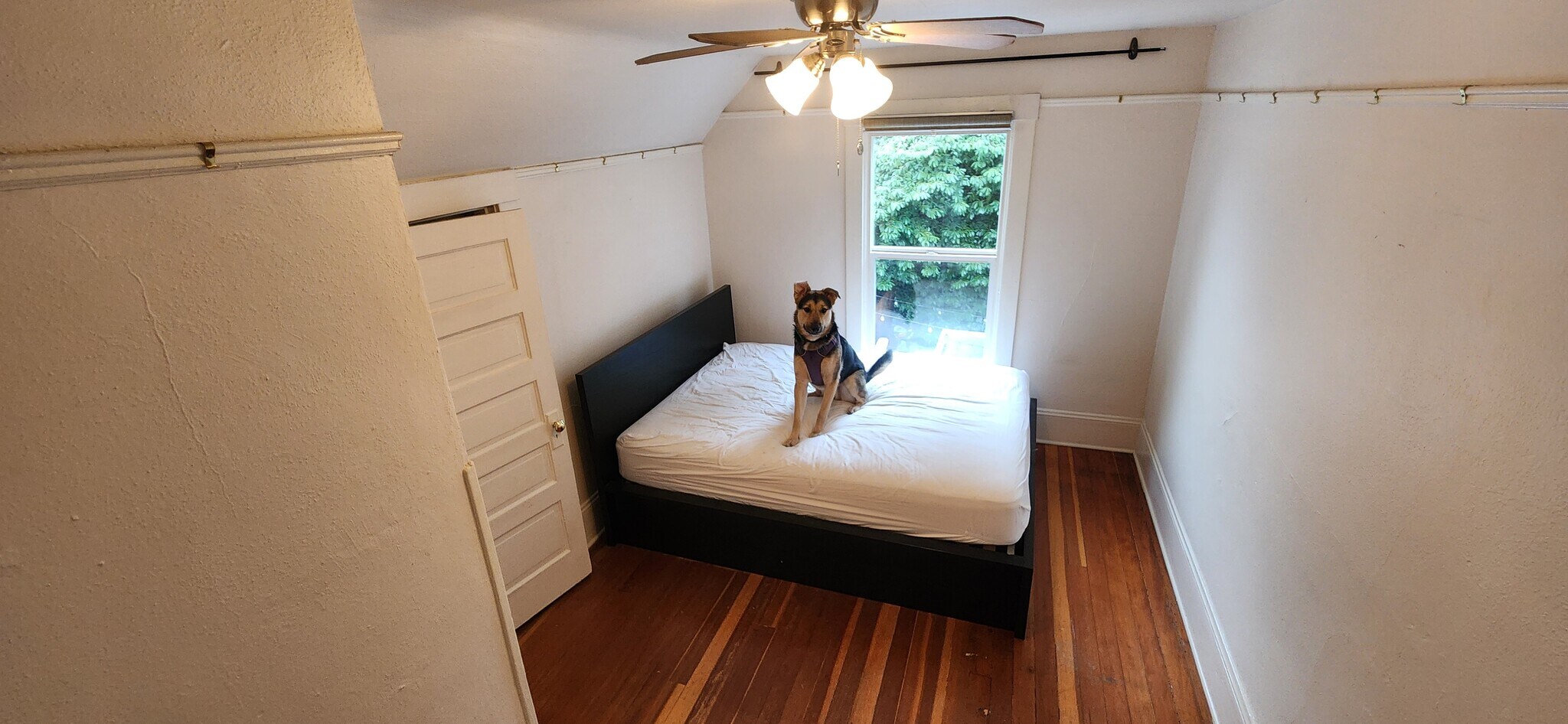 Building Photo - 3009 SE 19th Ave