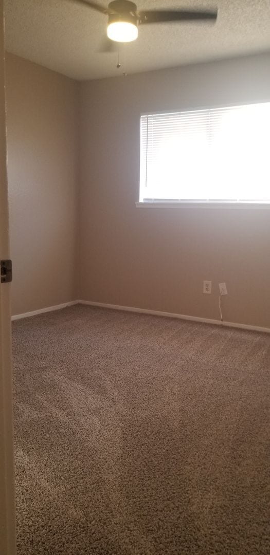 Building Photo - 3701 Halford Ct