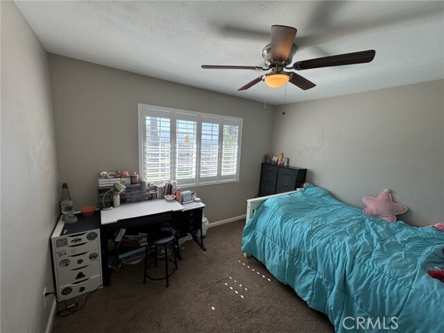 Building Photo - 4061 Mt Rushmore Dr