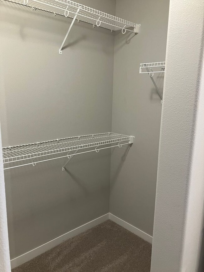 Building Photo - 4 Bed 3 Bath Single Family Home