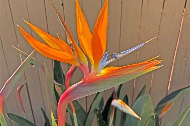 Building Photo - 10581 Sunburst Dr