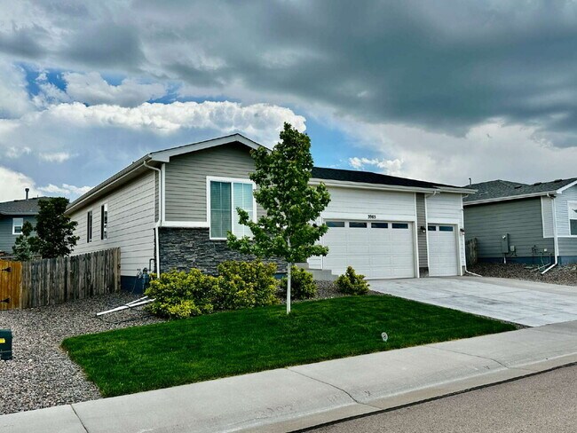 Building Photo - "Charming 4-Bedroom Castle Rock Home with Spacious Living!"
