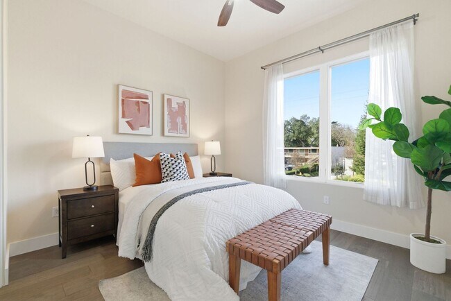 Building Photo - Gorgeous & Modern Los Altos Condo