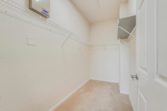 Building Photo - 157 Cat Rock Ln