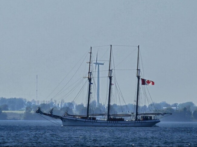 Building Photo - Offered for Rent – Available April 1, 2026 St. Lawrence Seaway Luxury Waterfront Home – Cape Vinc...