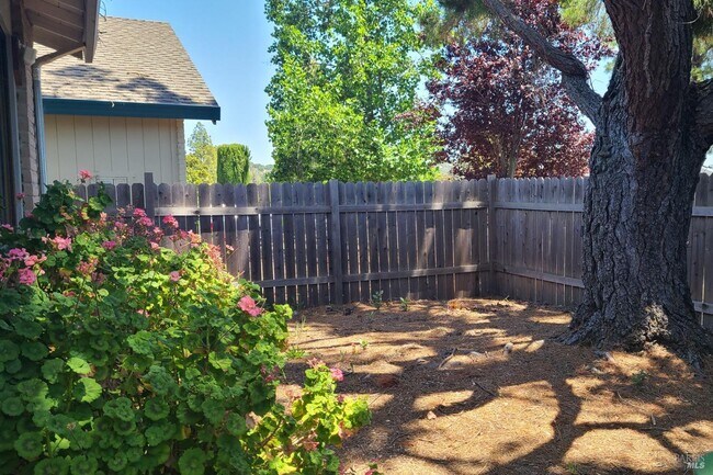 Building Photo - 221 San Marin Dr