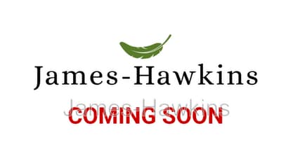 Building Photo - 2405 Palmetto St