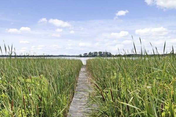 Building Photo - 306 Manitou Beach Rd