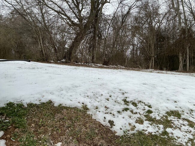 Building Photo - 915 Shearor St