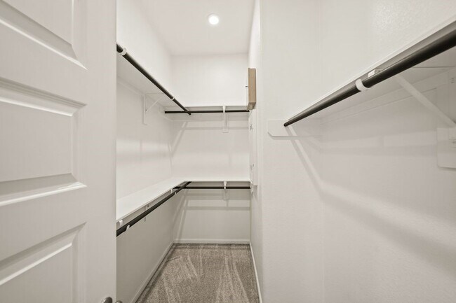 Building Photo - 1703 Rustling Creek Dr