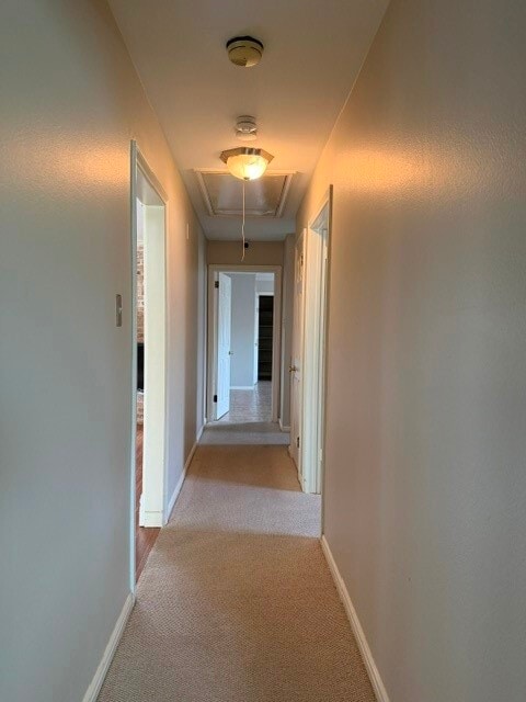 Building Photo - 5031 Twin Candle Dr