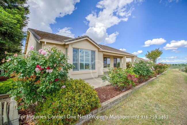 Building Photo - 2 bedroom, 2 bathroom + Casita in Sun City Lincoln Hills