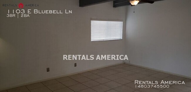 Building Photo - NO HOA!