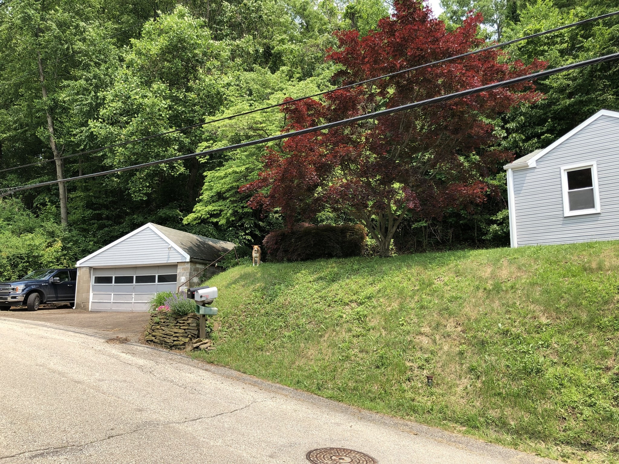 Building Photo - 328 Harmony Rd