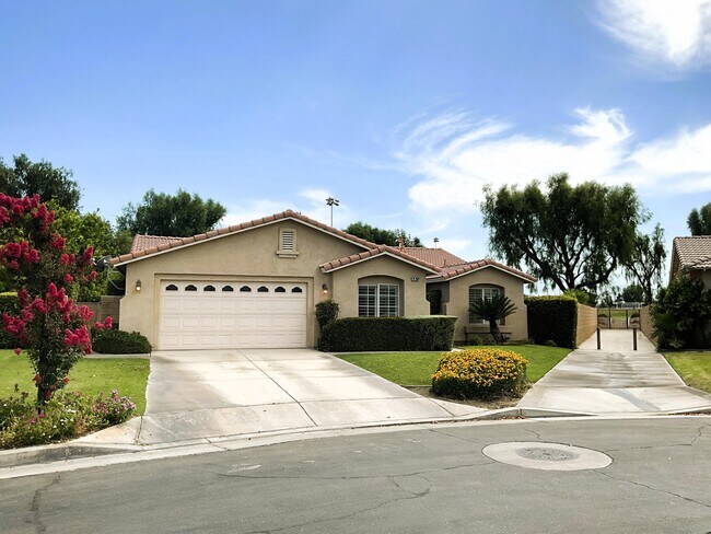 Primary Photo - 79269 Paseo Del Rey
