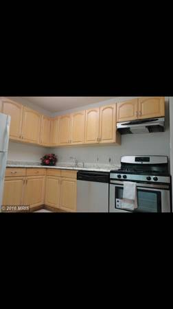 Newly updated kitchen with new appliances! - 876 College Pkwy