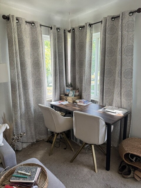 Building Photo - "Charming 1-Bed Urban Retreat in Denver's Heart - 575 Sq Ft of Cozy Living!"
