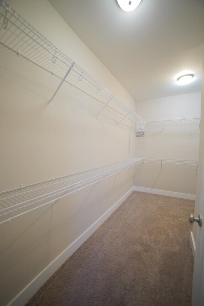 Building Photo - 2781 Julieanna Ln