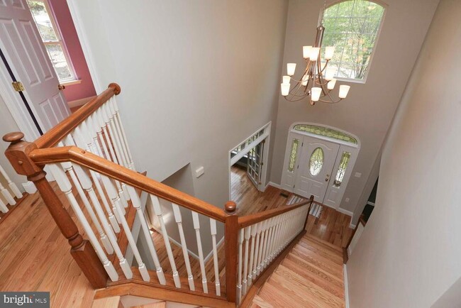 Building Photo - 4109 Gypsy Ln
