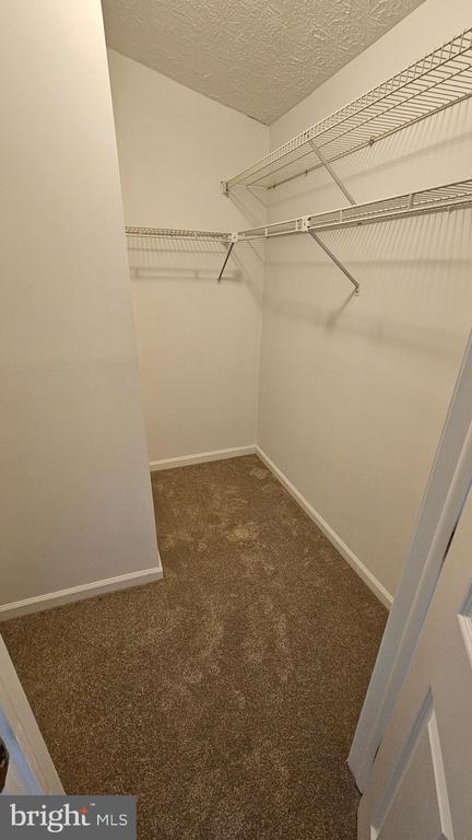 Building Photo - 1196 Swanhill Ct