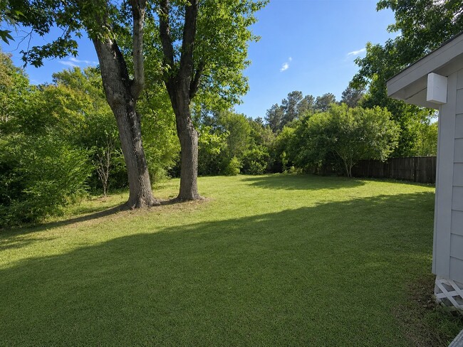 Building Photo - 227 Live Oak Ln