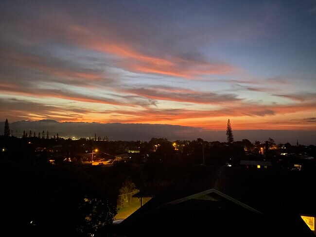 Evening view - 20 Maha Rd