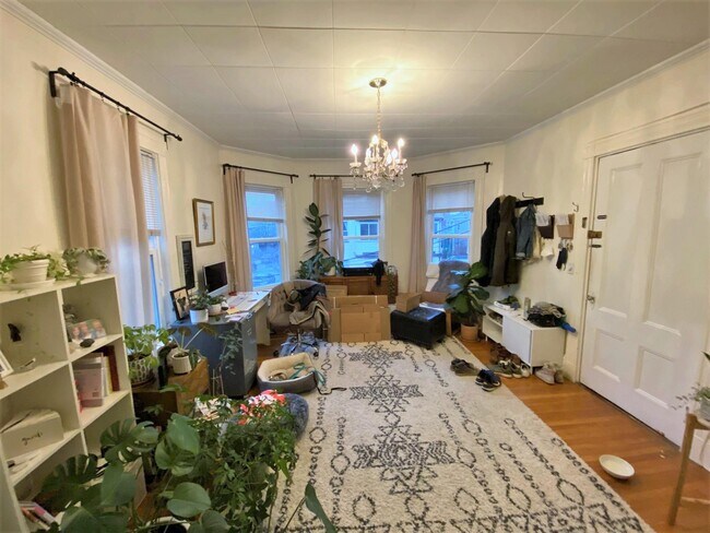 Building Photo - 63 Grove St