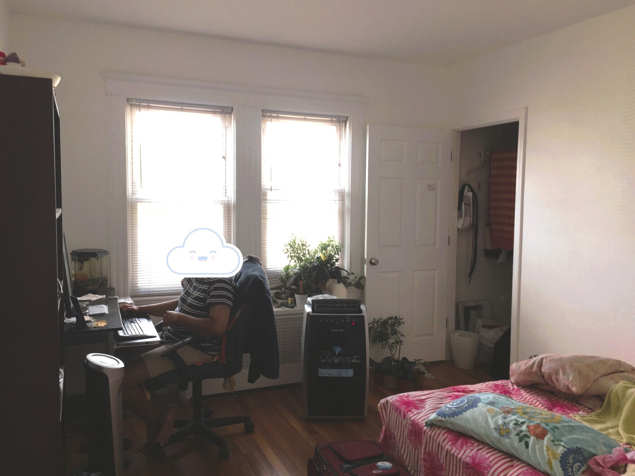 Building Photo - 246 Pearl St