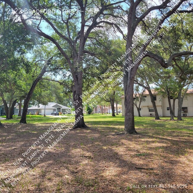 Building Photo - CLEARWATER CONDO AVAILABLE FOR IMMEDIATE M...