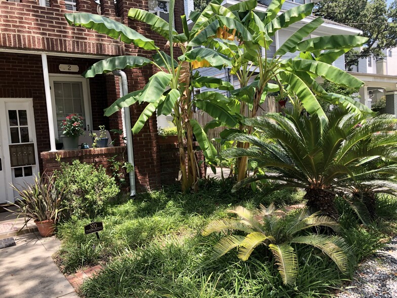 Banana Trees Porch 2 - 812 Branard St