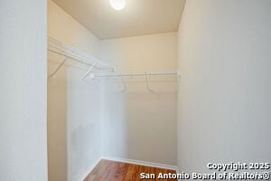 Building Photo - 4030 Bear Oak Path