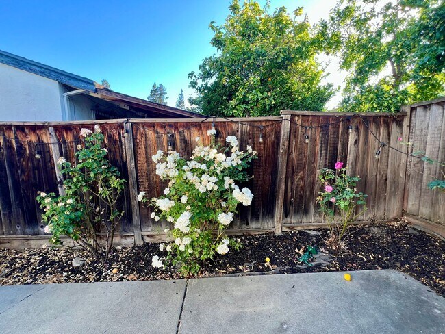 Building Photo - 3-Bedroom San Jose Home for Rent on a Quie...