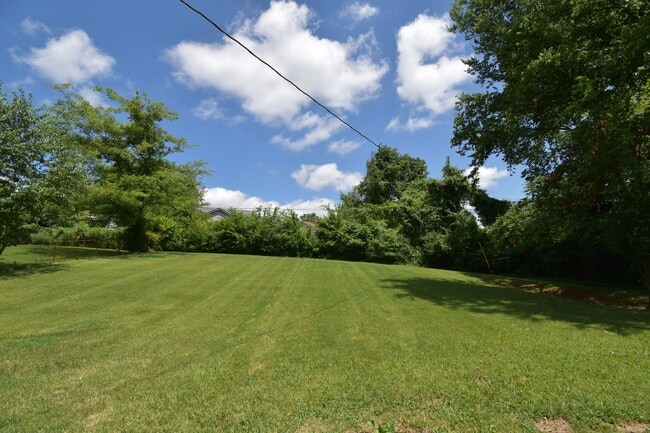 Building Photo - Renovate Dog Friendly Home For Rent Near Cunningham Lane!