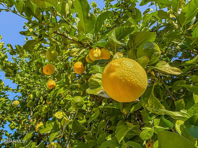 Building Photo - 2561 Heywood St