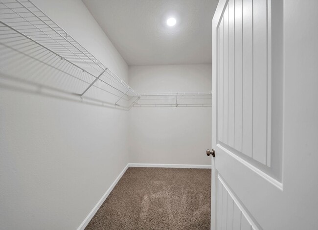 Building Photo - 1035 Limpkin St