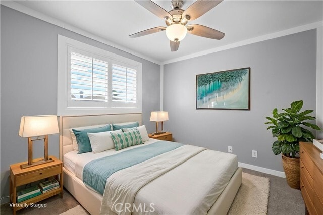 Building Photo - 29 Apache Dr