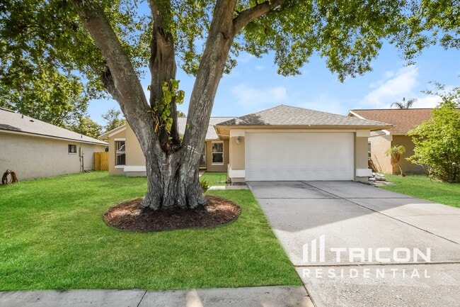 Building Photo - 1007 Black Willow Dr