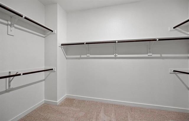 Building Photo - 2009 Belvedere St