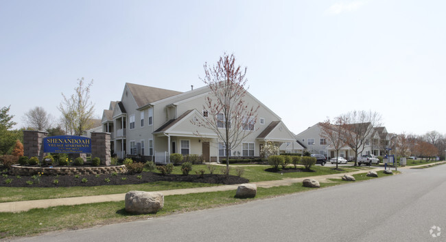 Primary Photo - Shenandoah Village Apartments