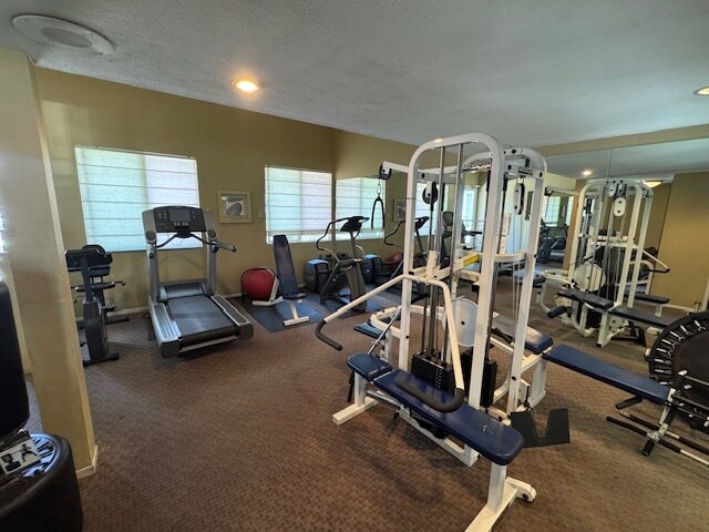 Gym - 355 N Maple St