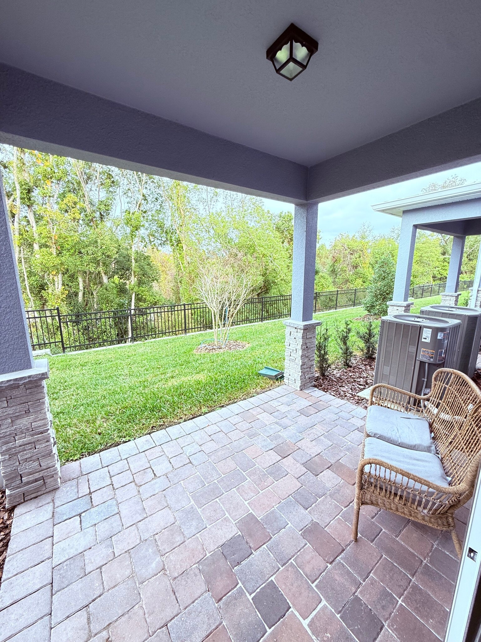 Backyard - 105 Violet Vine Ln